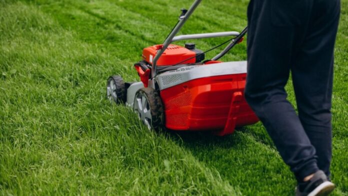 How to Start a Lawn Care Business